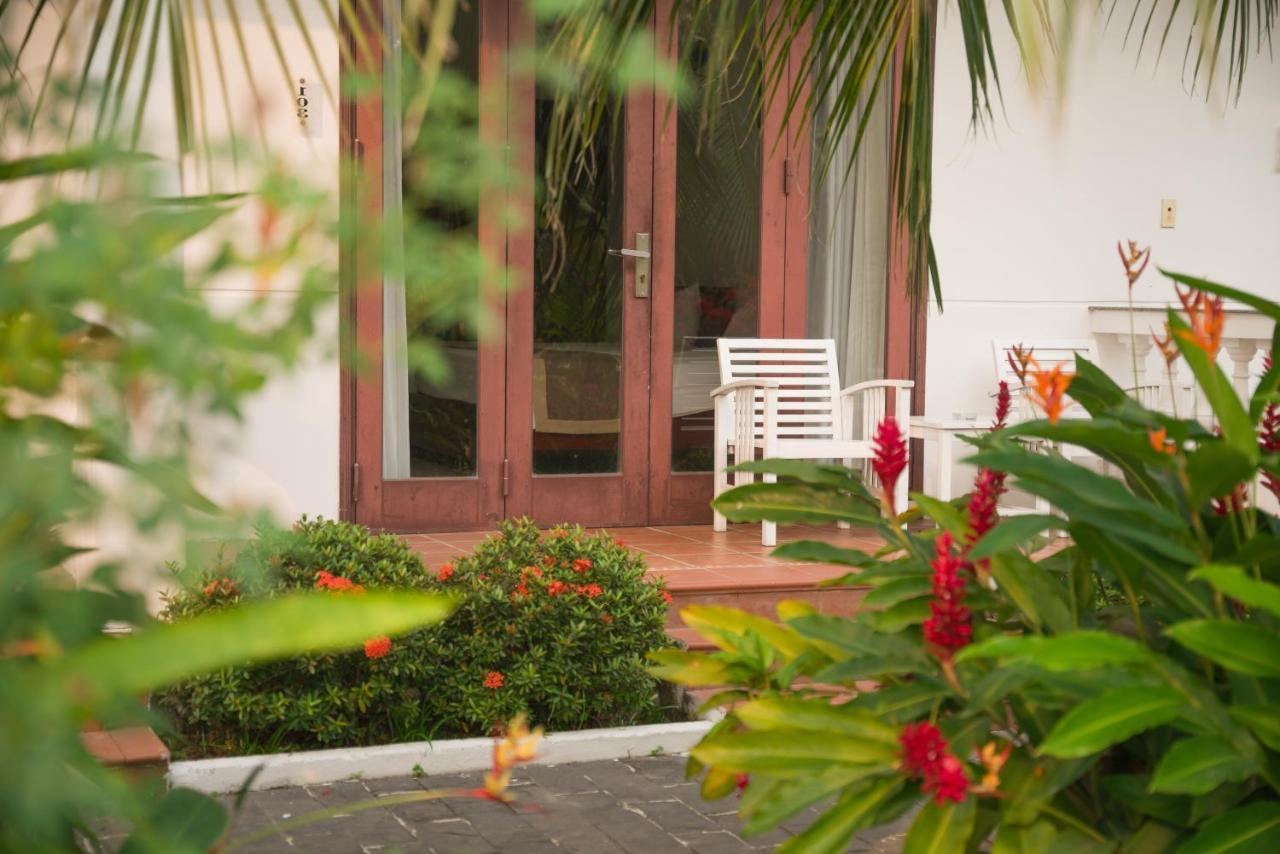 Hoi An Luna Villa Eksteriør billede