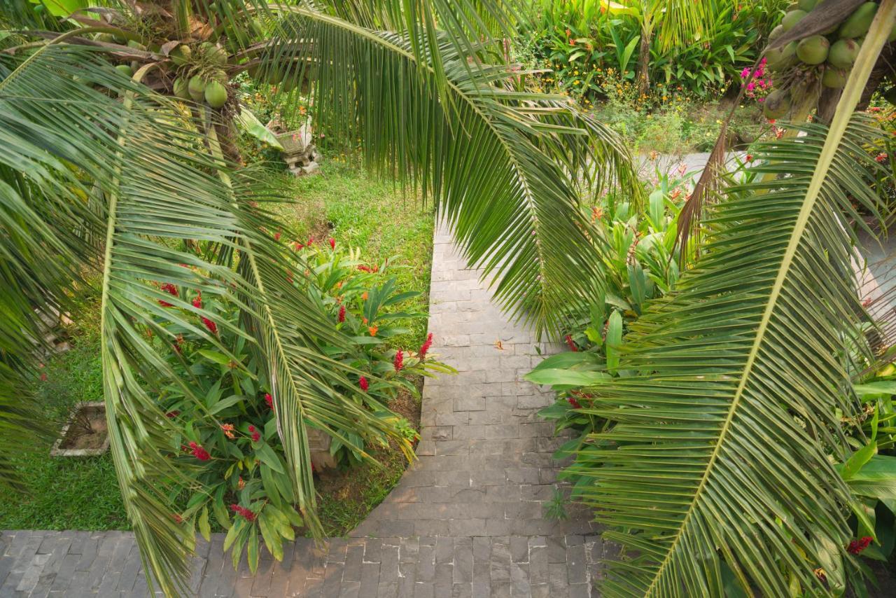 Hoi An Luna Villa Eksteriør billede