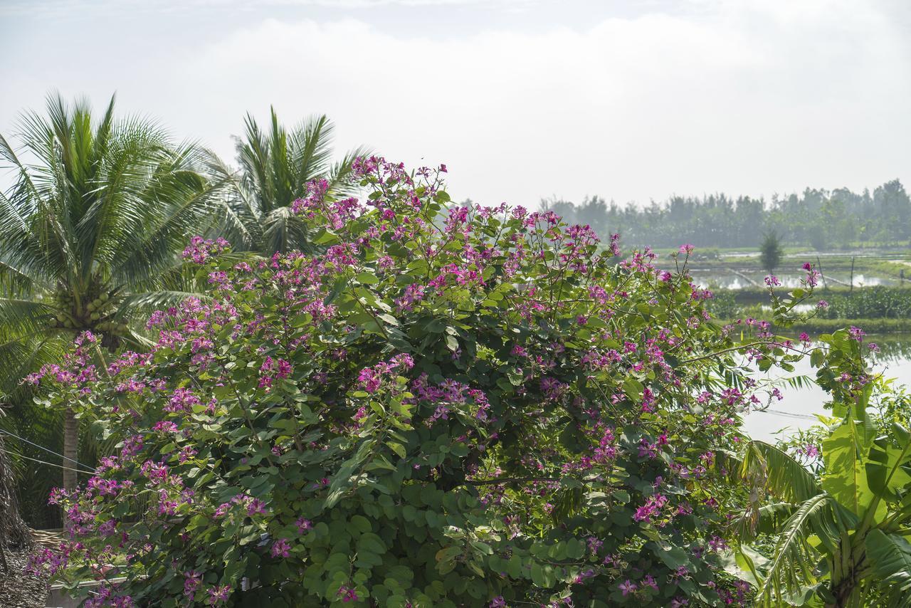 Hoi An Luna Villa Eksteriør billede