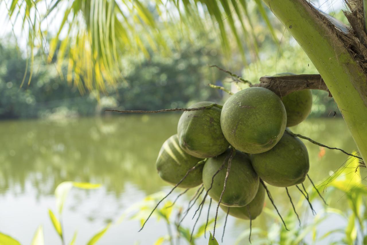 Hoi An Luna Villa Eksteriør billede