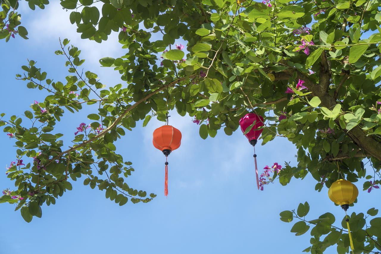 Hoi An Luna Villa Eksteriør billede