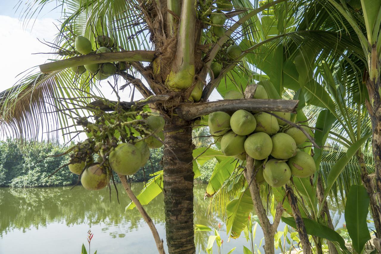 Hoi An Luna Villa Eksteriør billede