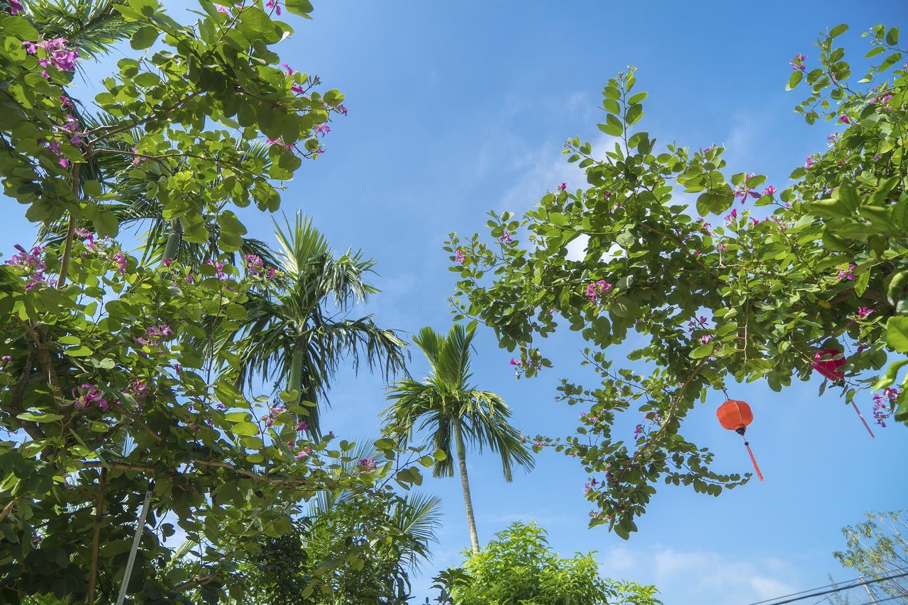 Hoi An Luna Villa Eksteriør billede